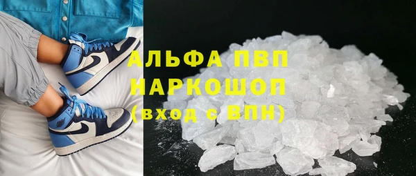 стафф Аркадак