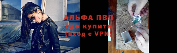 стафф Аркадак