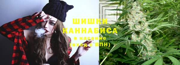 стафф Аркадак