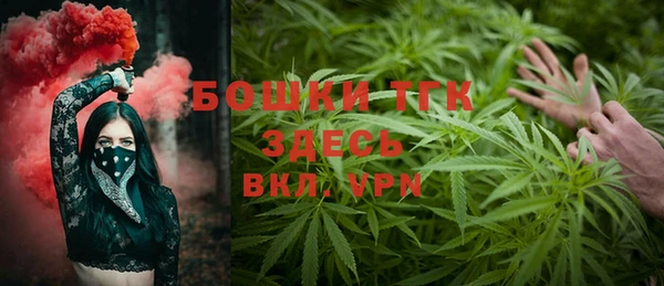 стафф Аркадак