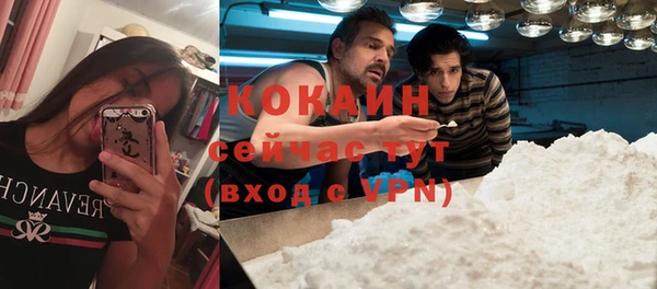 стафф Аркадак