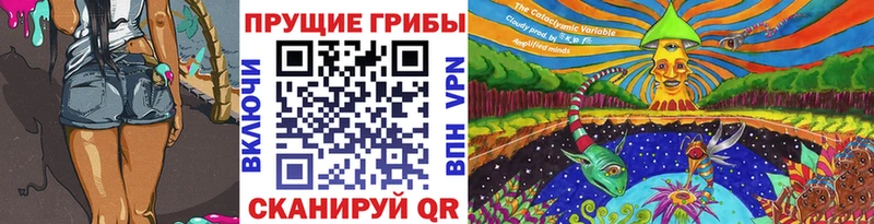 Галлюциногенные грибы Psilocybe  Таруса 